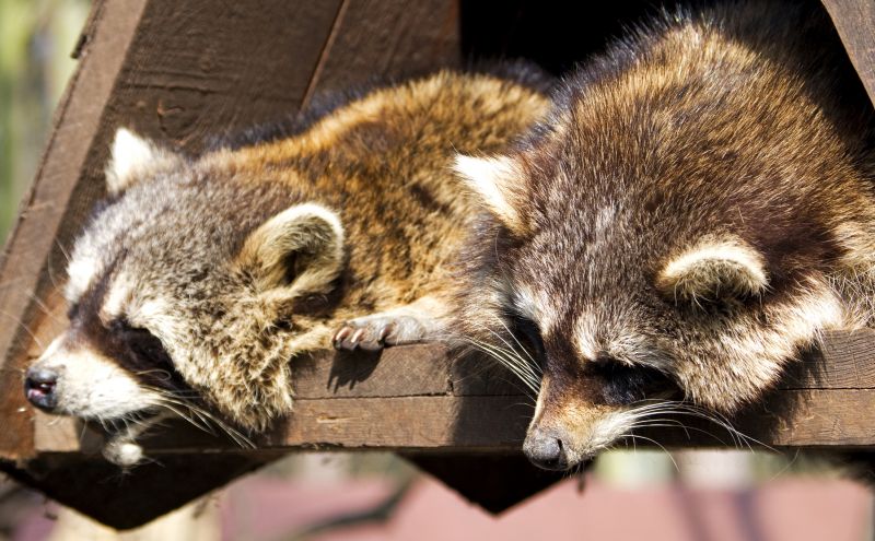 Sealing and Exclusion